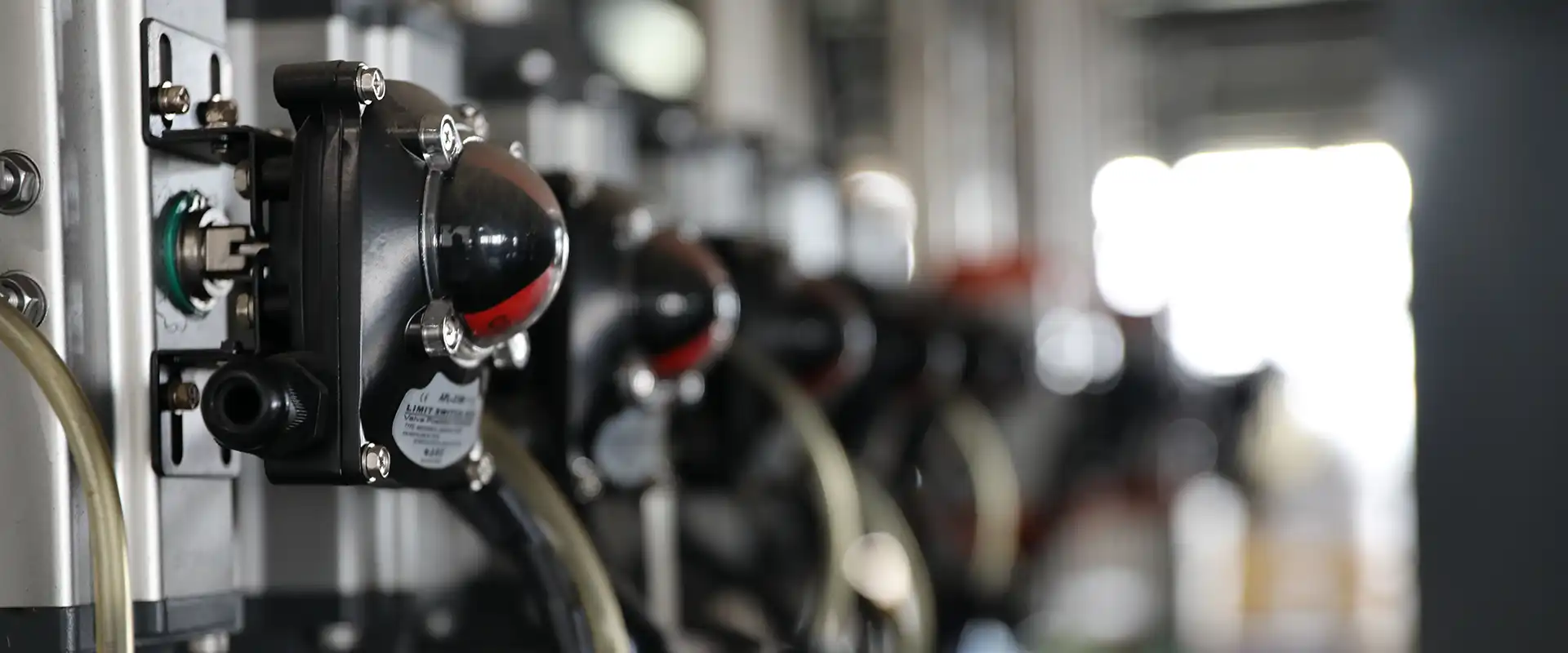 Engine Oil Suppliers 