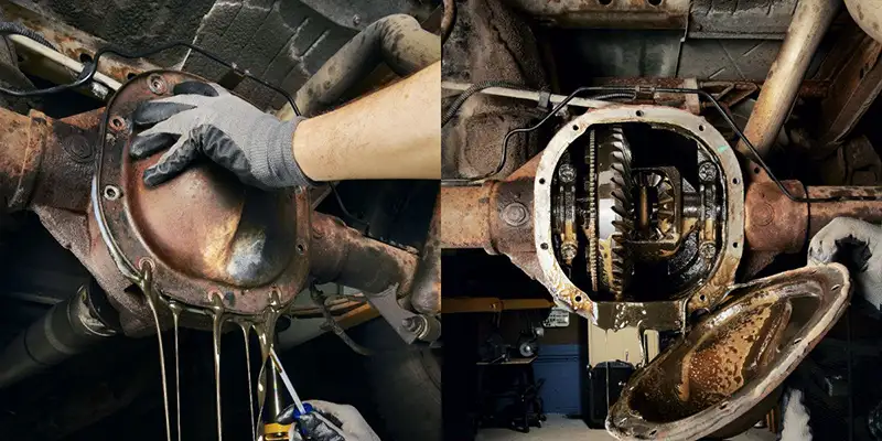 what is differential oil​